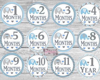 Baby Boy Elephant Monthly Milestone Stickers Photo Prop