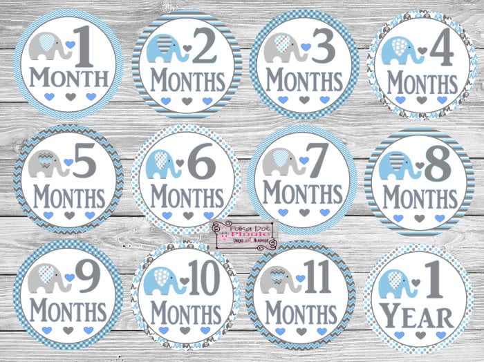 Baby Boy Elephant Monthly Milestone Stickers Photo Prop - Etsy