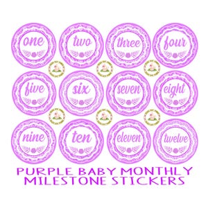 Purple Baby Girl Baby Monthly Milestone Photo Prop Stickers