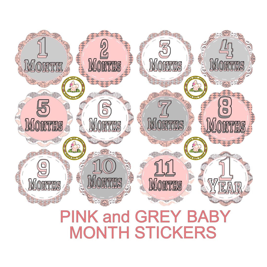 Pink and Grey Baby Girl Monthly Milestone Photo Prop Baby Shower Gift ...