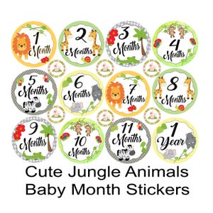 Cute Jungle Animals Safari Baby Monthly Milestone Clothing Stickers Photo Props