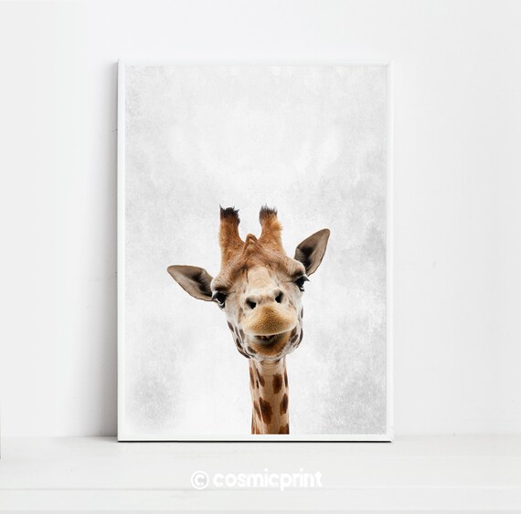 Giraffe Print Poster Wall Art Animal Hong Kong - Giraffe Print Wall Art Giraffe Print Poster Wall Art Animal Hong Kong - Giraffe Print Wall Art
