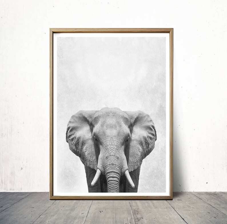 Elephant Print Elephant Poster Wall Art Print Animal Print Etsy
