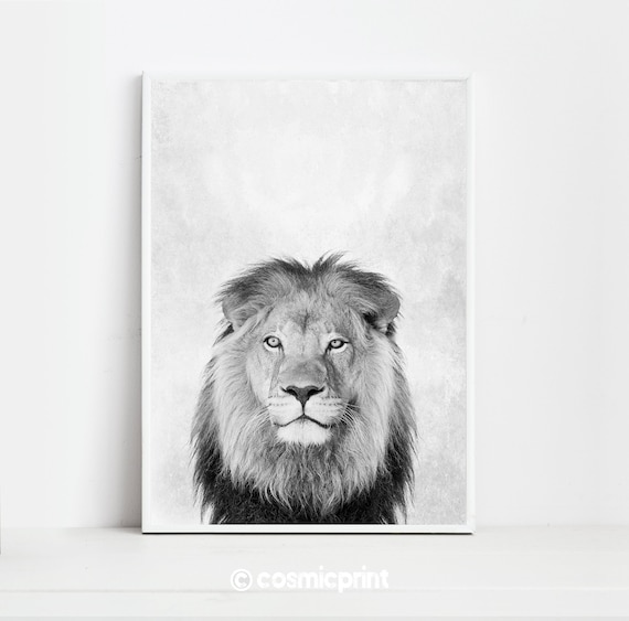 A4 Stunning Wildlife Poster Print White Lion A3
