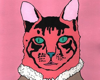 Don cat, pink.