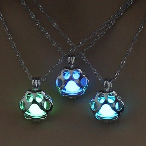 Glow in the Dark Necklace Pet Memorial Necklace Pet - Etsy