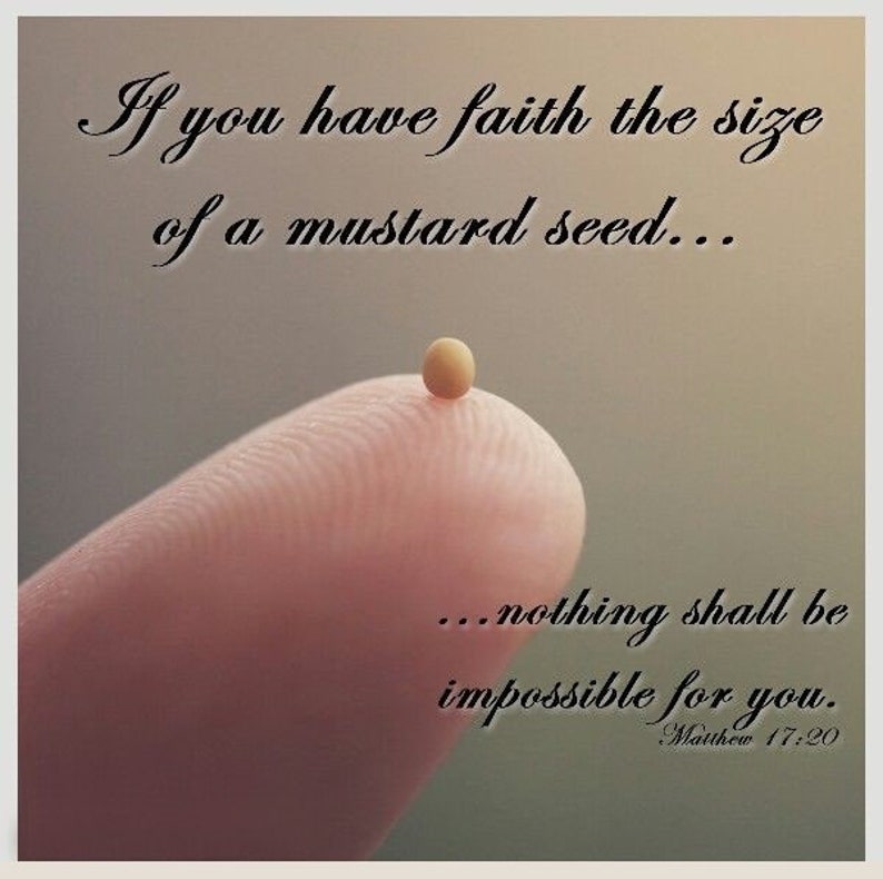 faith-mustard-seed-necklace-bible-verse-necklace-mustard-seed-etsy