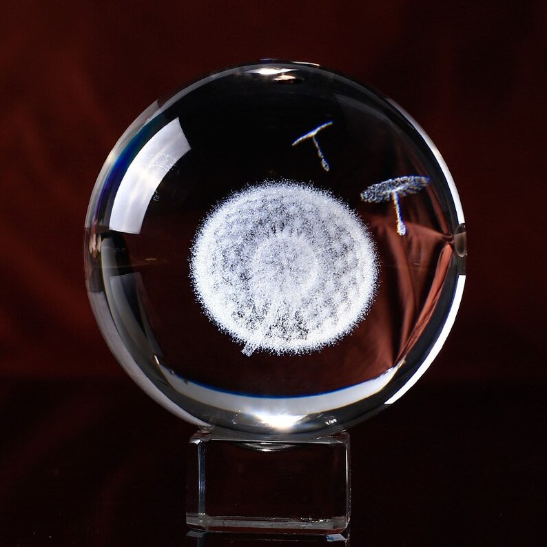 Download Dandelion Paperweight Crystal Ball Stand Botanical Flower Paperweight Dandelion Glass Orb Glass Ball Ornament Good Luck Graduation Gift Art Collectibles Glass Sculptures Figurines Kromasol Com