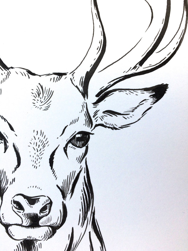 ORIGINAL Zeichnung Hirsch minimalistische Zeichnung Bild | Etsy