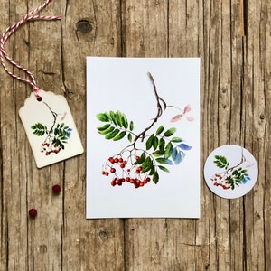 Carte de vœux Rowanberry, ensemble de 3 pièces composé d'une carte, d'une étiquette et d'un autocollant, carte postale A6 en édition limitée, dos vierge