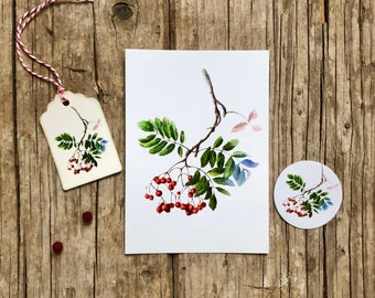 Handmade greeting card „Ranunculus“, greenery print, Flower design , holiday card set of 2: card & stiker, Easter card