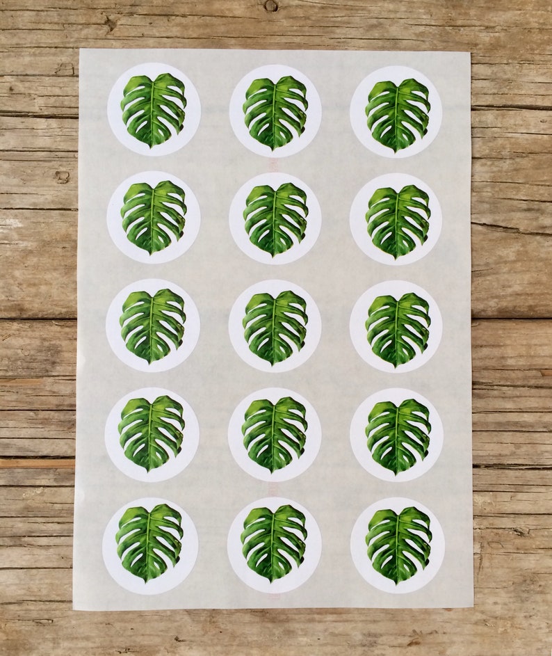 Monstera leaf sticker, sheet with 15 Stickers, plant design, green leaf, plant decor,DIY,gift wrapping, exotic leaf, tropical design print image 3