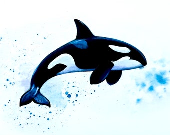 Orca Aquarell Fine Art Print, Killerwal Bild, maritimes Poster, animal art, giclee print