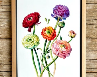 Ranunkeln Aquarell Fine Art Print, Blumen Bild, florales Poster, Blumenstrauß Wandbild, botanik Wanddeko, giclee print