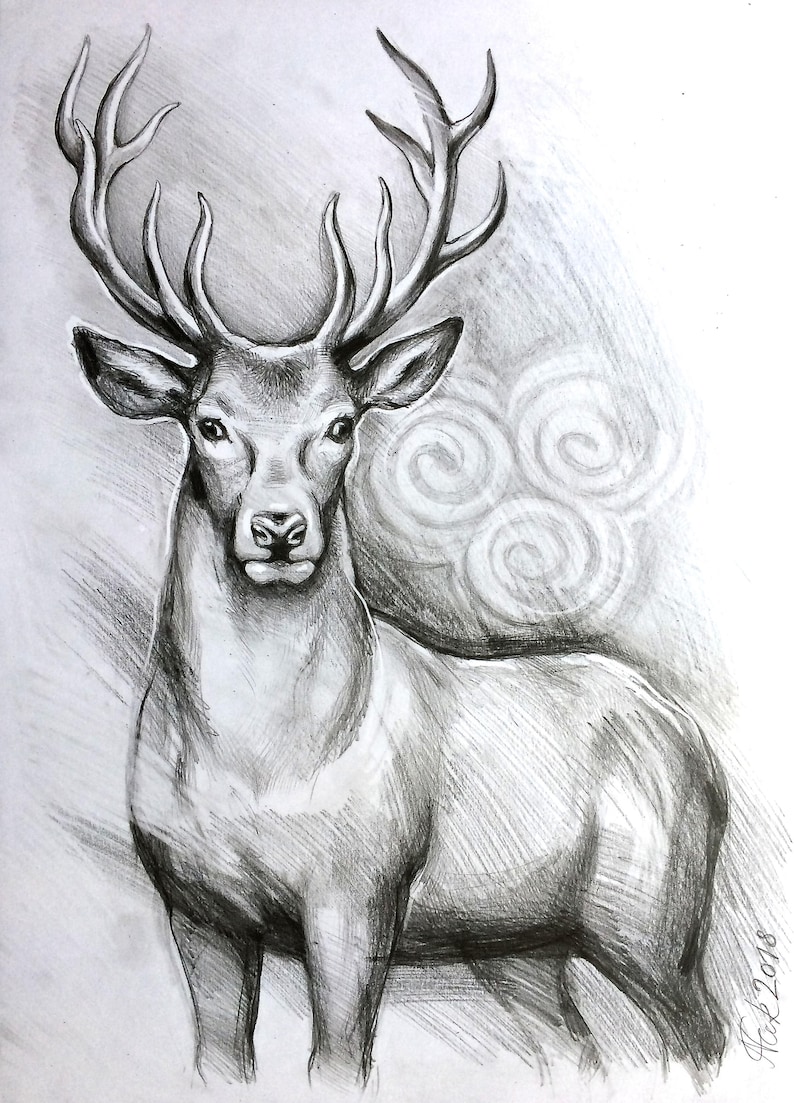 ORIGINAL deer art stag pencil drawing graphite home decor Etsy