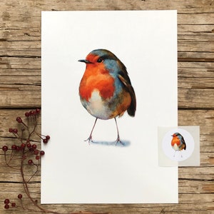 Rotkehlchen Aquarell Fine Art Print, Vogel Bild, Kinderzimmer Poster, robin watercolor, bird art, bird drawing, animal art, giclee print