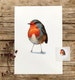 Robin  watercolor, fine art archival print, bird art, nursery art, gift, giclee print, Robin Illustration, Home decor 