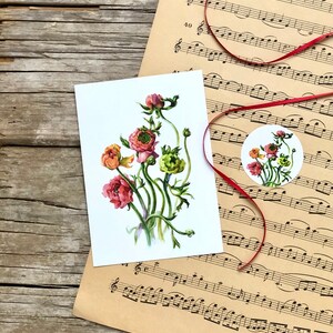 Grußkarte Ranunkeln 2-teiliges Set bestehend aus Karte und Sticker, Blumen A6 Postkarte Rückseite blanko