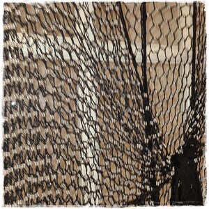 May include: Close-up of a black, net-like fabric with a textured pattern. The fabric appears to be draped, with a glimpse of a light-colored background visible through the open weave. The net-like material has a decorative design.