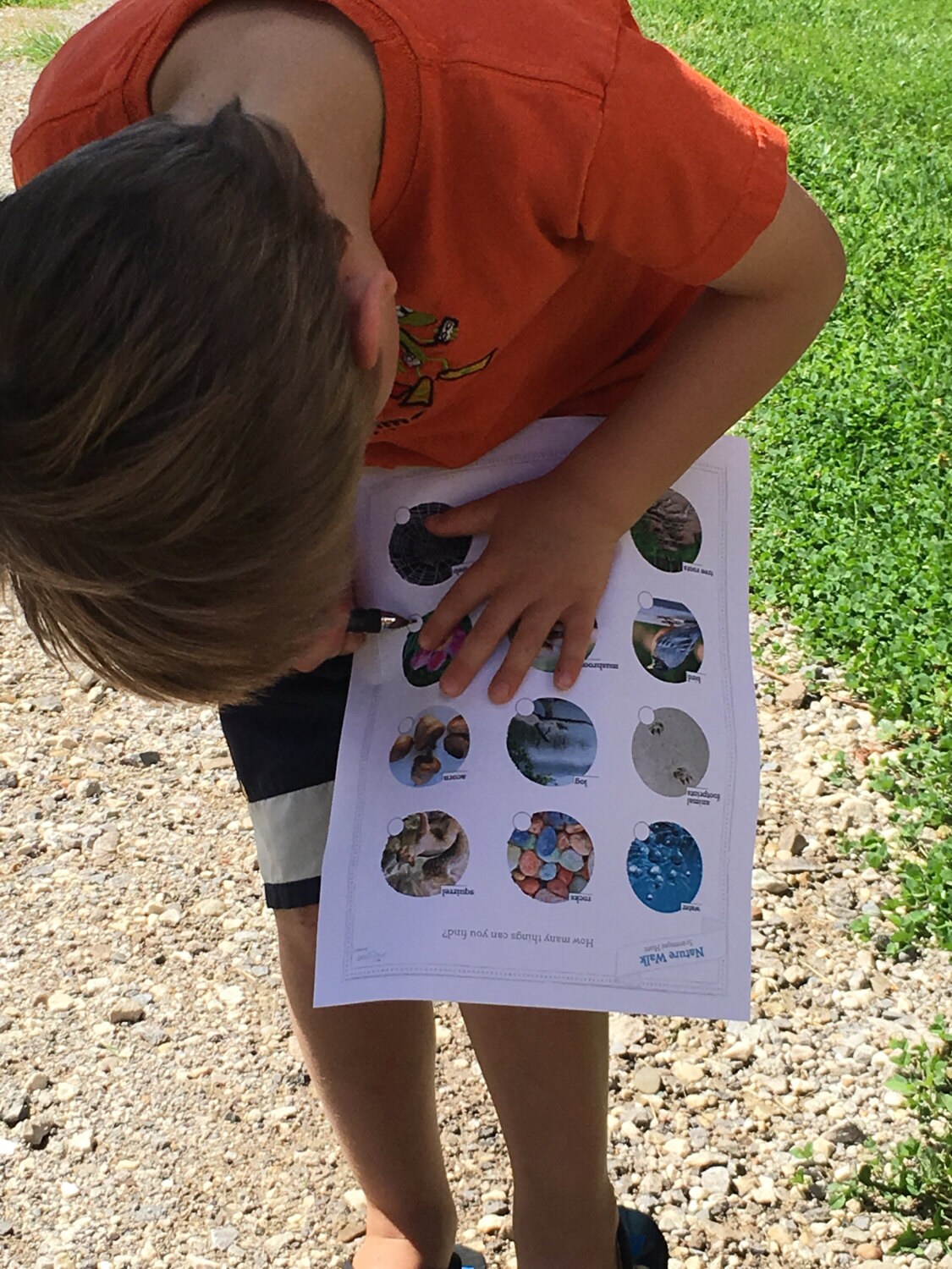 Downloadable Bug Scavenger Hunt Kids Printable Scavenger Etsy