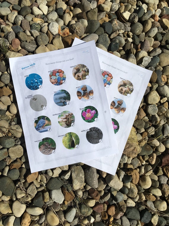 Downloadable Bug Scavenger Hunt Kids Printable Scavenger | Etsy