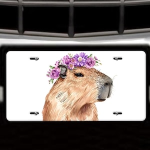 May include: A white license plate featuring a watercolor illustration of a capybara wearing a purple flower crown. The capybara is brown with a large nose and small ears. The license plate is mounted on a vehicle.