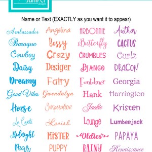 K&ouml;nnte beinhalten: Eine Tabelle mit Schriftart-Optionen f&uuml;r Namen oder Text. Die Schriftarten werden in verschiedenen Farben angezeigt, darunter Pink, Blau, Orange und Lila. Der Text oben in der Tabelle lautet "FONT OPTIONS (name or text)".