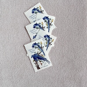 Cinque francobolli vintage inutilizzati da 5 centesimi Audobon Blue Bird