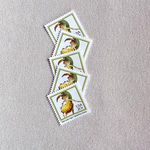 Cinque francobolli vintage inutilizzati da 20 centesimi gialli con fiori di pantofola da donna