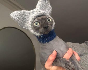 Sphynx Cat Cats In Funny Hats Sphynx Cat Clothes: Adorable Cotton