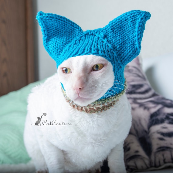 Cat Hat Hat for Cat Ears Covering Cat Hat Multicolored Handmade Hat for  Naked Cats Winter Wear for Sphynx or Cornishrex Cats Small Pet Hat -   Canada