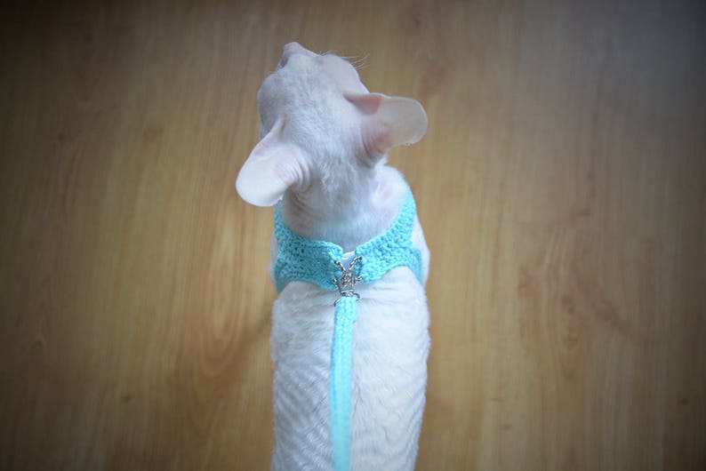 Crochet cat harness with leash Small pet harness Brown stylish handmade set of harness and leash Love my cat harness Leash for sphynx cat
