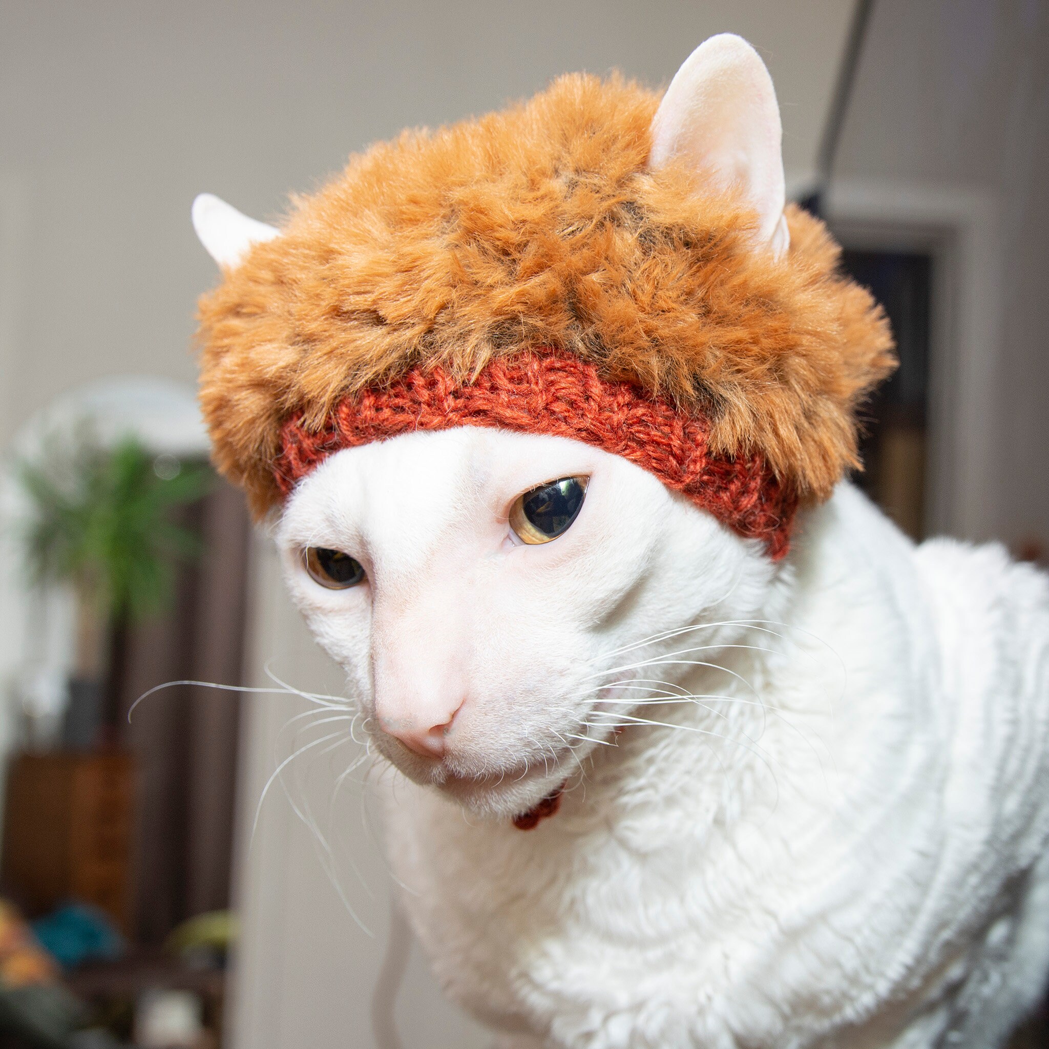 Cat Hat Fox Look Soft Fluffy Knited Hat for Cat Brown Fake Fur Cat Hat - Etsy Cat Hat Fox Look Soft Fluffy Knited Hat for Cat Brown Fake Fur Cat Hat - Etsy