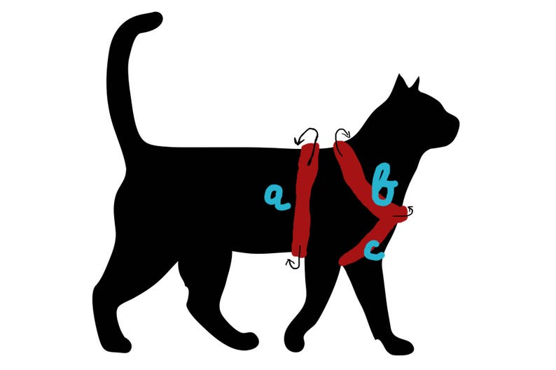 Crochet cat harness with leash Small pet harness Brown stylish handmade set of harness and leash Love my cat harness Leash for sphynx cat