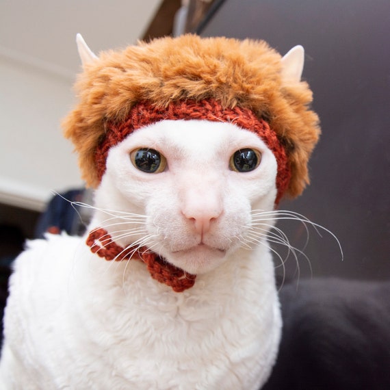 小物 ANDWANG Fluffy cat knit hat andwang Fluffy cat knit hat