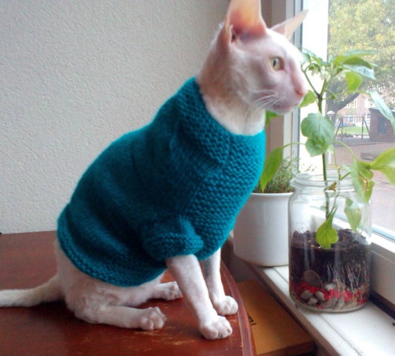 blue cat sweater