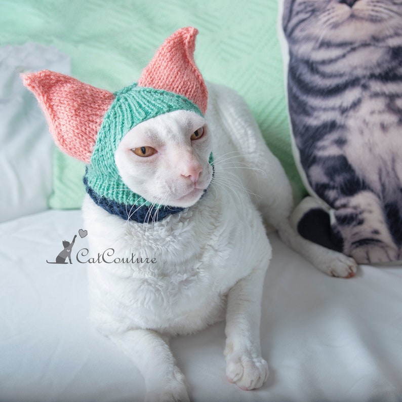Ears Covering Hat for Cat Cat Winter Wear Sphynx Cat Hats Etsy