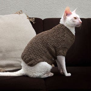 Vestiti per gatti Maglione marrone fatto a mano per gatto sphynx con motivo a quadrati Maglione marrone lavorato a maglia per gatti Pullover marrone per Cornish Rex Vestiti per animali domestici