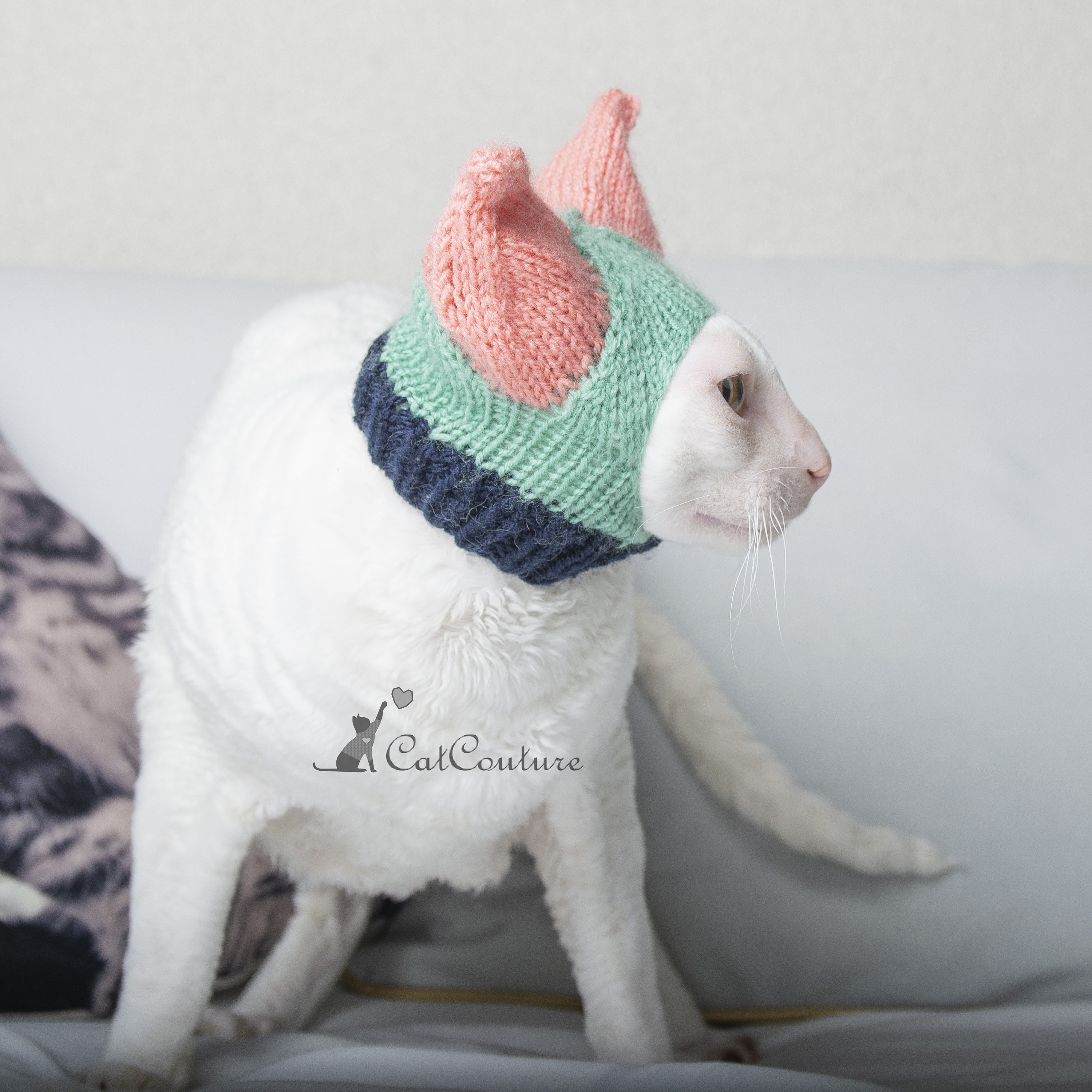 Ears covering hat for cat Cat winter wear Sphynx cat hats Etsy