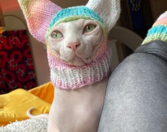 Könnte beinhalten: Eine haarlose Katze trägt eine handgestrickte Mütze mit hohen, spitzen Ohren. Die Mütze hat einen gerippten Halsbund und ein buntes Garnmuster in Pastelltönen wie Rosa, Gelb, Blau und Weiß, mit weißen Akzenten an den Spitzen der Ohren.