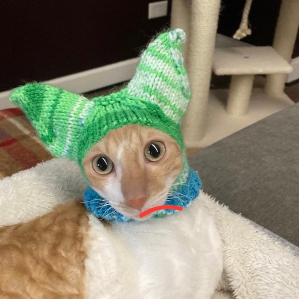 Ohren bedecken Katzenhut Mehrfarbiger handgemachter Hut für Nacktkatzen Winterkleidung für Sphynx oder Crnishrex Katzen Kleiner Haustier Hut