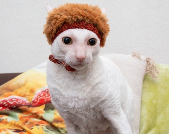 帽子 andwang Fluffy cat knit hat Fluffy cat knit hat