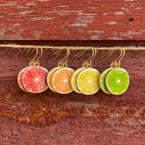 Enamel Citrus Fruit Slice Food Unique Novelty Dangle Earrings
