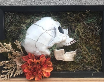 Mourning in Bloom- Skull