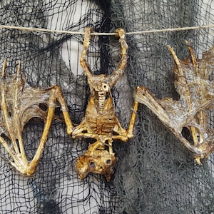 May include: A skeletal bat decoration with a brown, leathery texture, hanging from a string against a black and white mesh background.