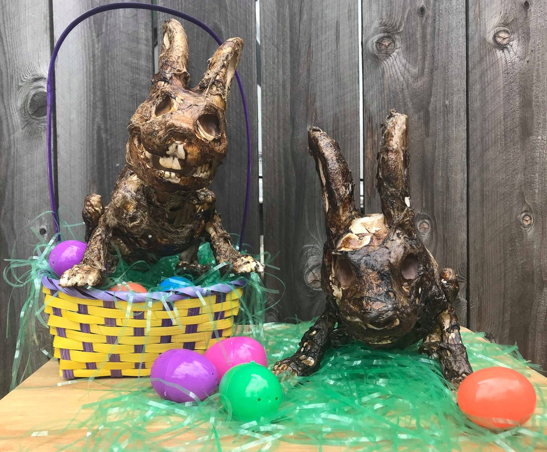 SPECIAL EDITION Peter the Zombie Cottontail Rabbit - Etsy