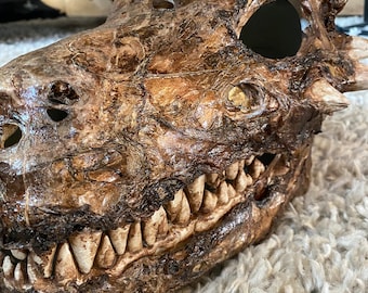 Smaug the Zombie Dragon