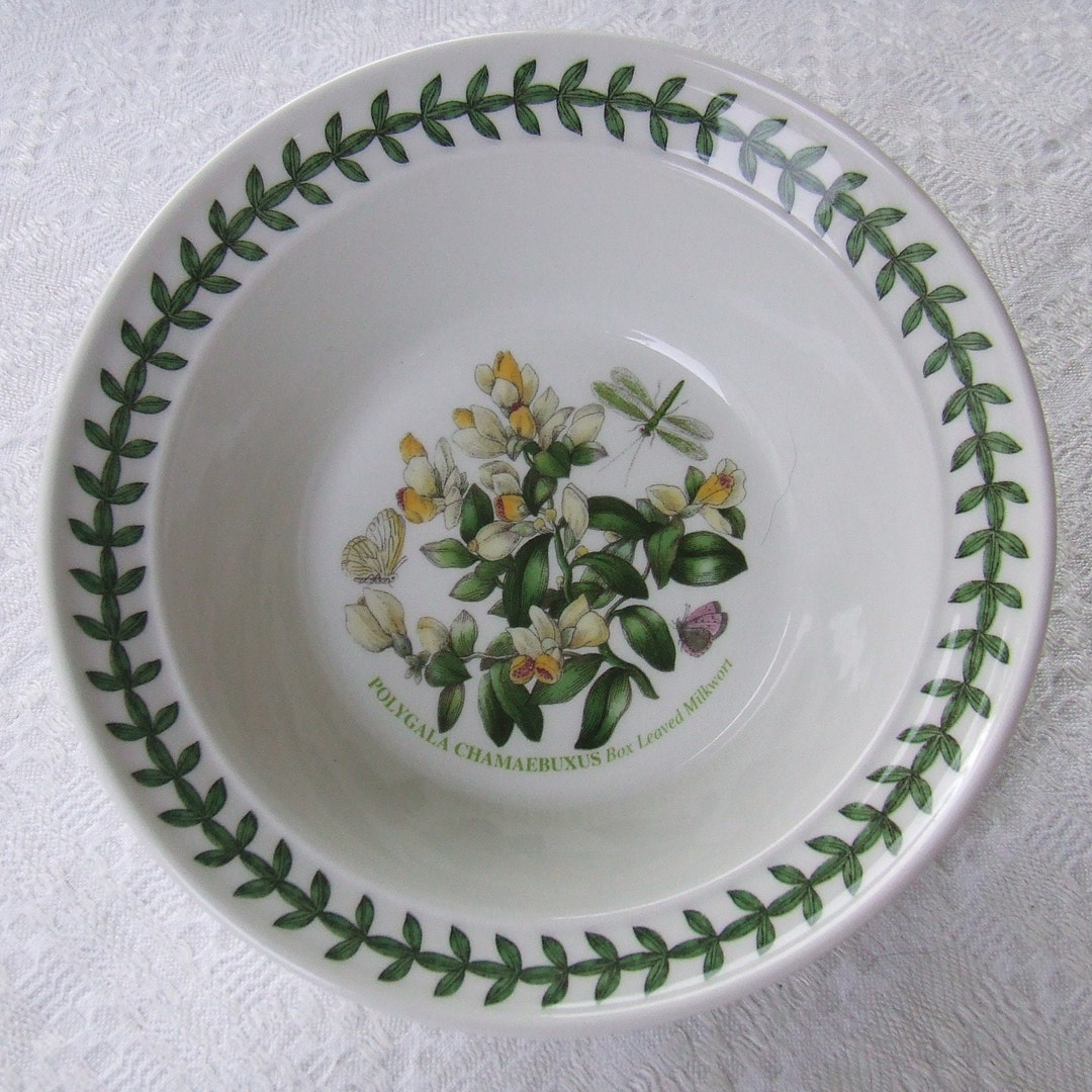 Vintage Portmeirion Botanic Garden Cereal / Oatmeal Bowl Box Etsy