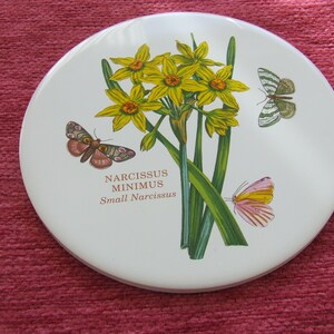 Keramisk krukställning av H & R Johnson - ett vintageföremål med Narcissus Minimus-design