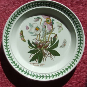 Portmeirion Botanischer Garten Speiseteller Weihnachtsrose Design